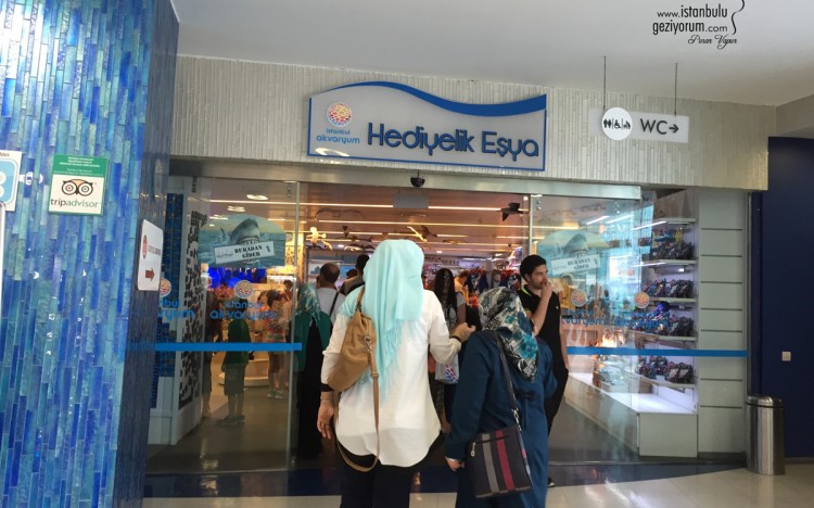 Istanbul Aquarium - The World's Largest Themed Aquarium
