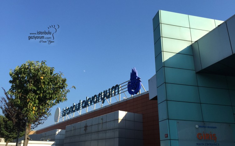 Istanbul Aquarium - The World's Largest Themed Aquarium