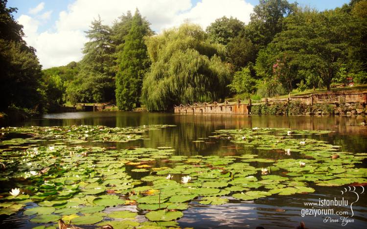 Ataturk Arboretum - A Magnificent Arboretum in Belgrade