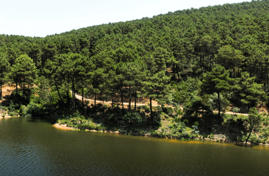 A New Social Facility in Aydos Grove: Değirmen Café Surrounded by Nature in Sultanbeyli