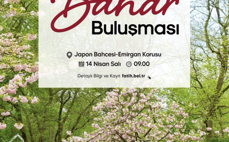 Istanbul Sakura & Tulip Tour 2026..