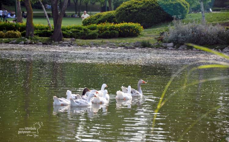 Bahçeşehir Pond - Where Is Turkey's First and Largest Artificial Pond?