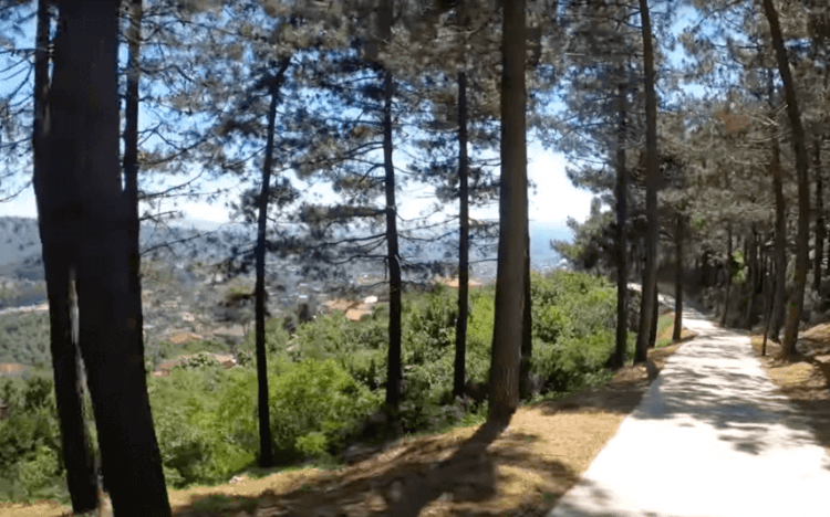 Beykoz Karlıtepe Picnic Area
