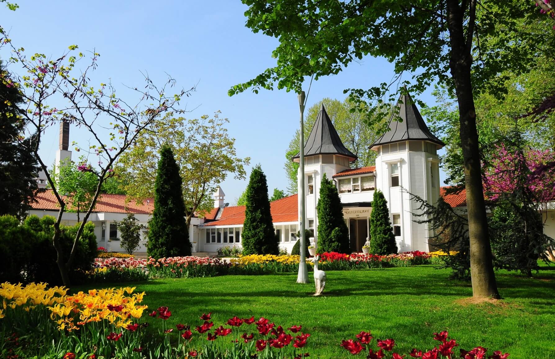 One-Day Itinerary Around Polonezköy & Surroundings | Istanbul Getaway 2025