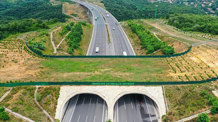 Turkey's First Ecological Bridge in Uskumruköy, Istanbul