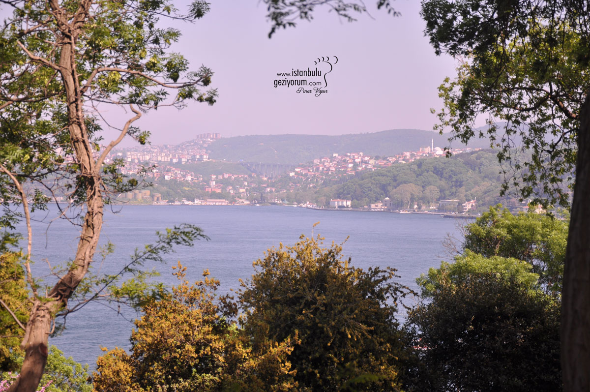 9 Affordable Bosphorus-View Social Facilities in Istanbul | Best Budget-Friendly Spots