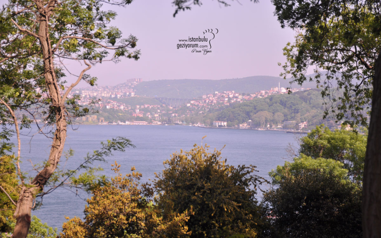9 Affordable Bosphorus-View Social ..