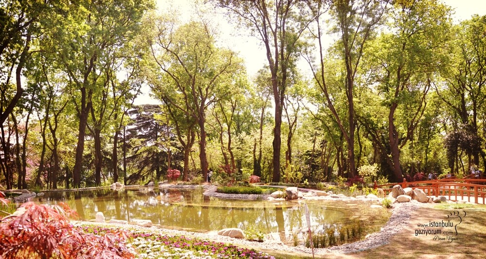 Places to Go with Children in Istanbul During the Mid-Term Break