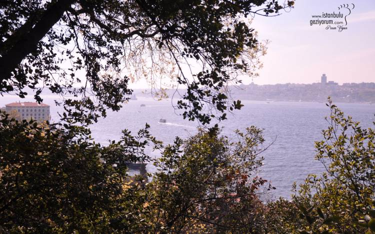 IBB Fethipaşa Grove Social Facilities