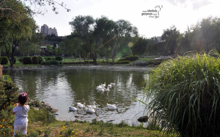 Bahçeşehir Pond - Where Is Turkey's First and Largest Artificial Pond?