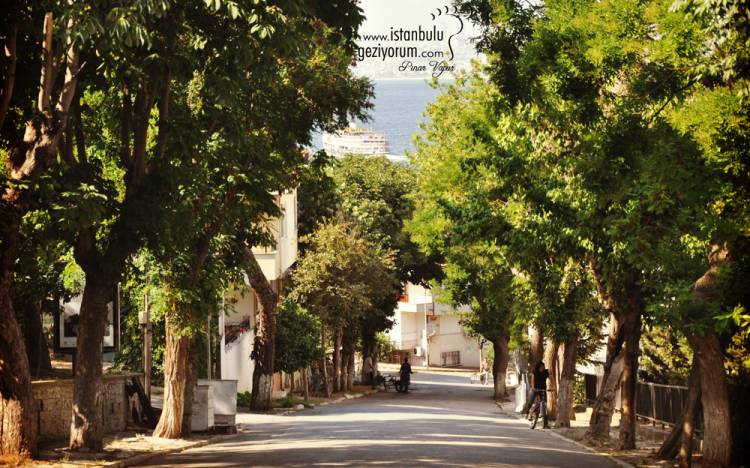 Bicycle and Horse Carriage Fun in Heybeliada