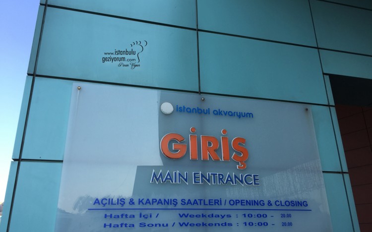 Istanbul Aquarium - The World's Largest Themed Aquarium