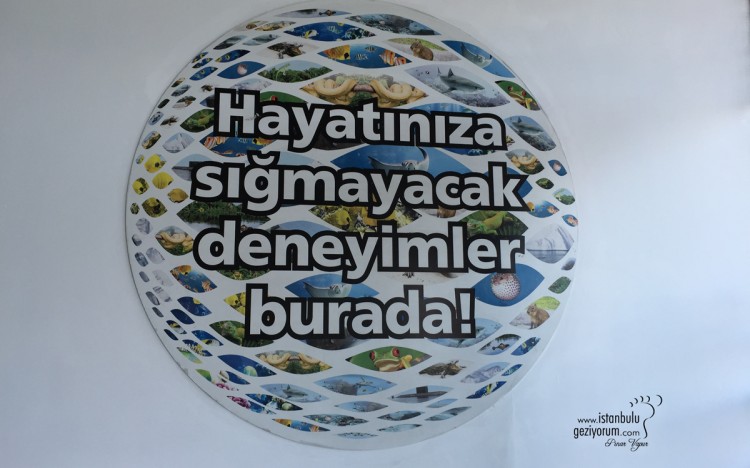 Istanbul Aquarium - The World's Largest Themed Aquarium