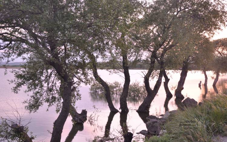 Büyükçekmece Karaağaç Village