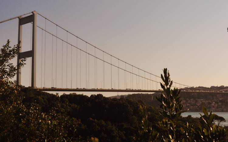 Where is Mihrabat Grove? How to get there?