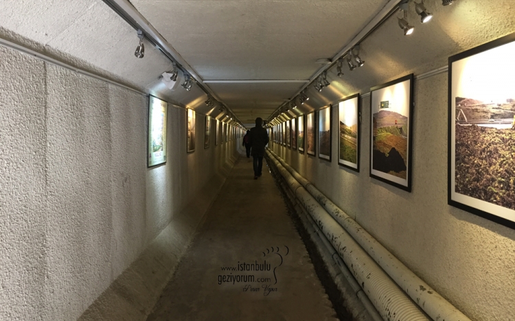 Nezahat Gökyiğit Botanical Garden