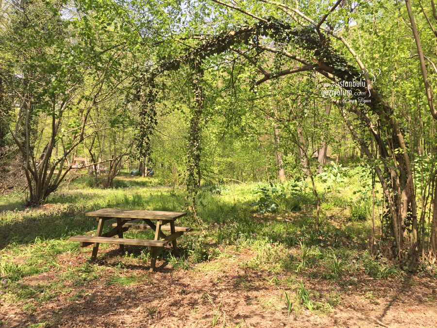 Picnic and Recreation Areas in Istanbul