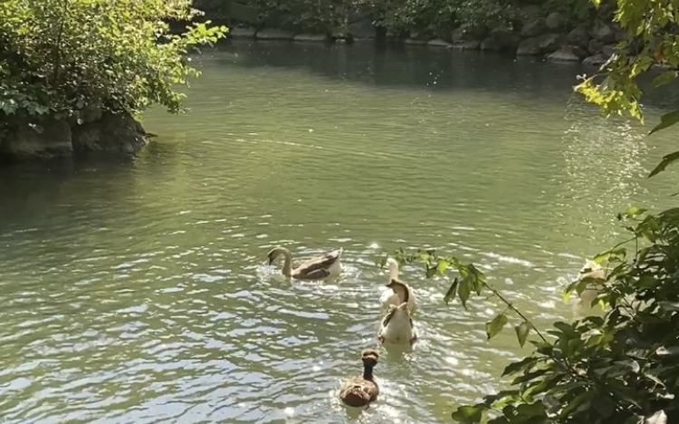 9 Beautiful Day Trips Near Istanbul..