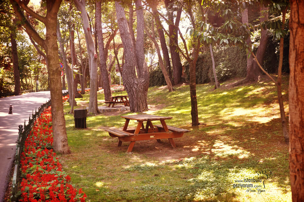 Istanbul's Best Parks