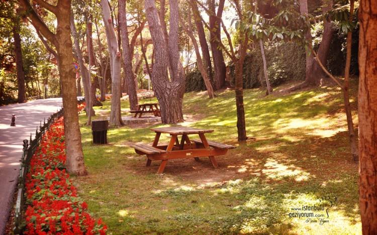 Enjoy Walking in Yıldız Park
