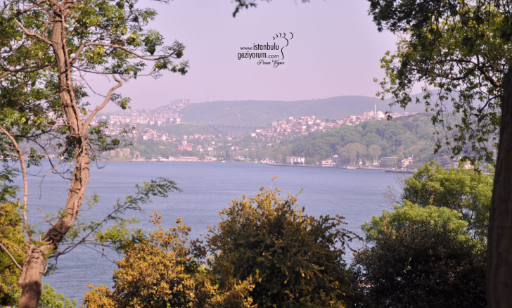 Emirgan Grove