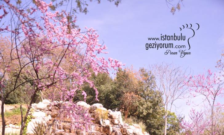 İstanbul'u Geziyorum