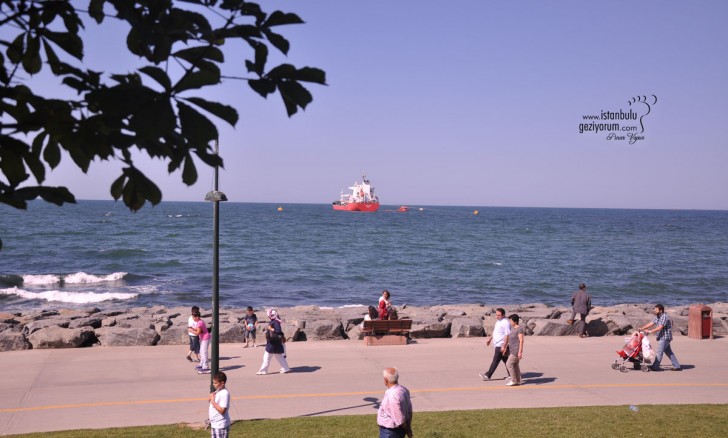 Florya