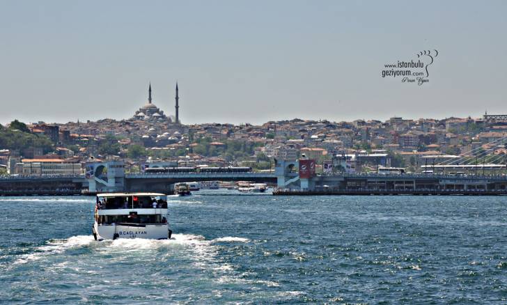 Views from the Ferry