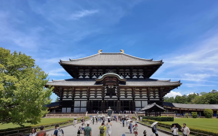 🇯🇵 How to Travel from Turkey to Japan? Flights, Sakura Season & Travel Tips