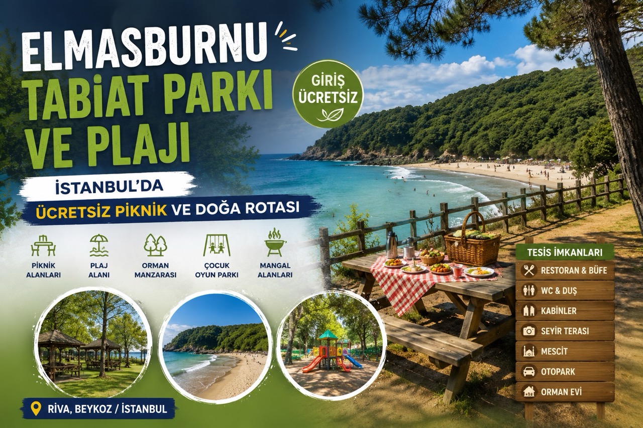 Elmasburnu Tabiat Parkı ve Plajı: İstanbul’da Ücretsiz Piknik ve Doğa Rotası