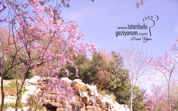 İBB FETHİPAŞA KORUSU SOSYAL TESİSLERİ