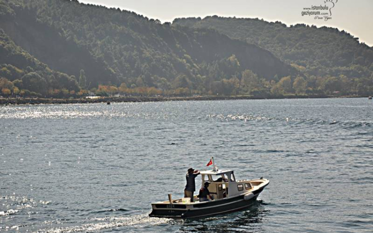 Bebek Gezisi 2025 – Ulaşım ve Gezil..